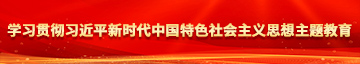 好屌淫操学习贯彻习近平新时代中国特色社会主义思想主题教育